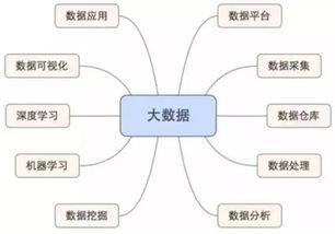 生物質(zhì)能資源數(shù)據(jù)庫(kù)信息系統(tǒng) 人大等32所高校新增專(zhuān)業(yè)引領(lǐng)新趨勢(shì)